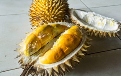 Durian Kencono Rukmi, Asli Gunungkidul, Aman untuk Hipertensi