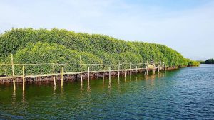 Libur Tahun Baru, Kalibiru dan Hutan Mangrove Kulonprogo Dibanjiri Wisatawan